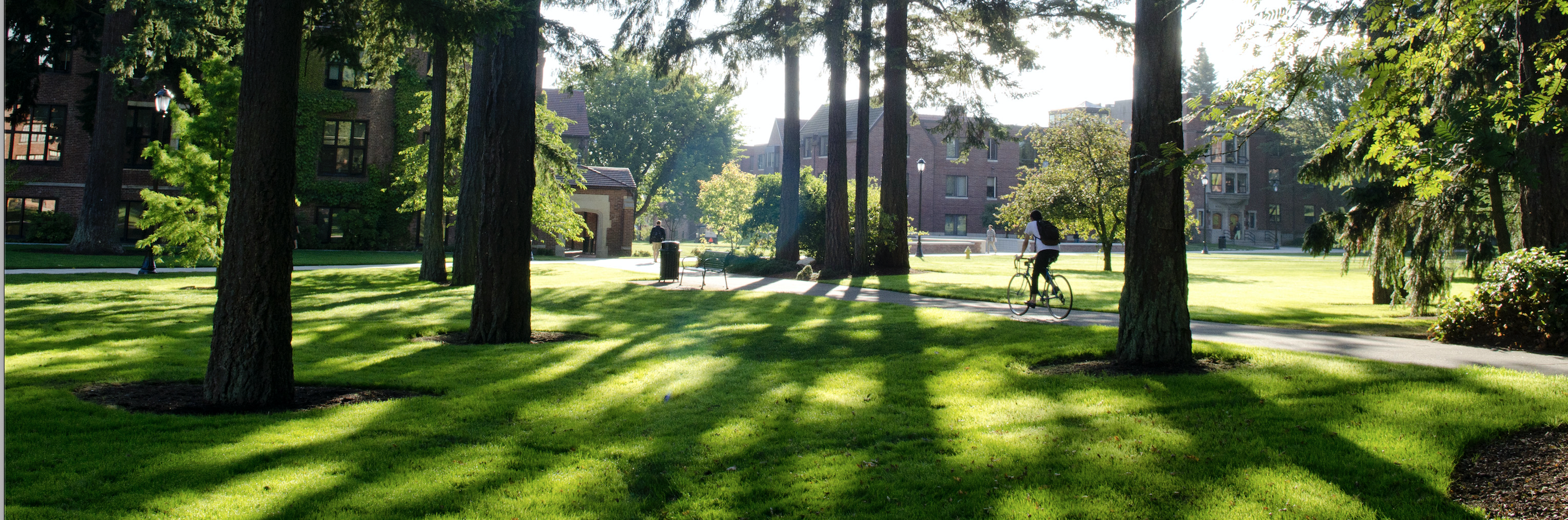 A person riding a bike across campus