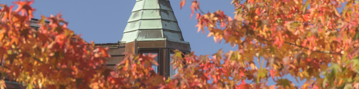 Fall trees and rooftop tower skyline view