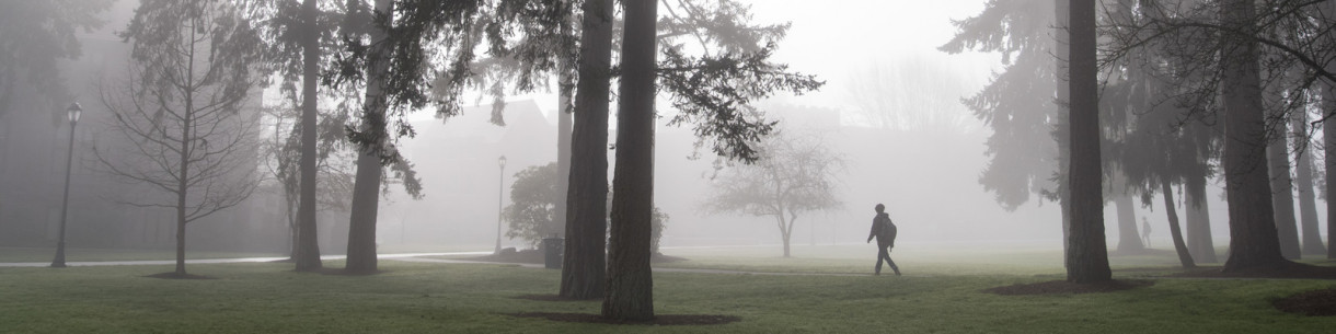 Person walking along a path on a foggy day