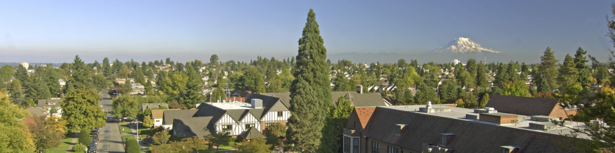 Suburban landscape with mountain in the background