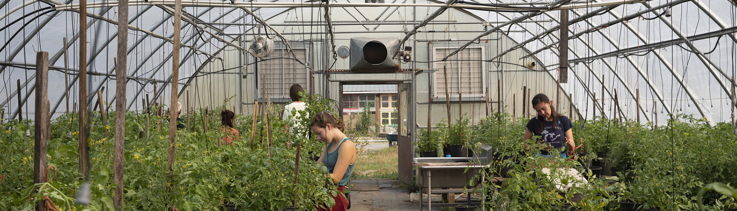 Students volunteering at L'Arche Gardens