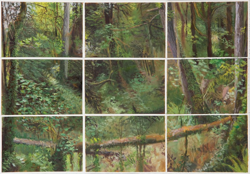 Study for Ravine, Kathy Gore Fuss