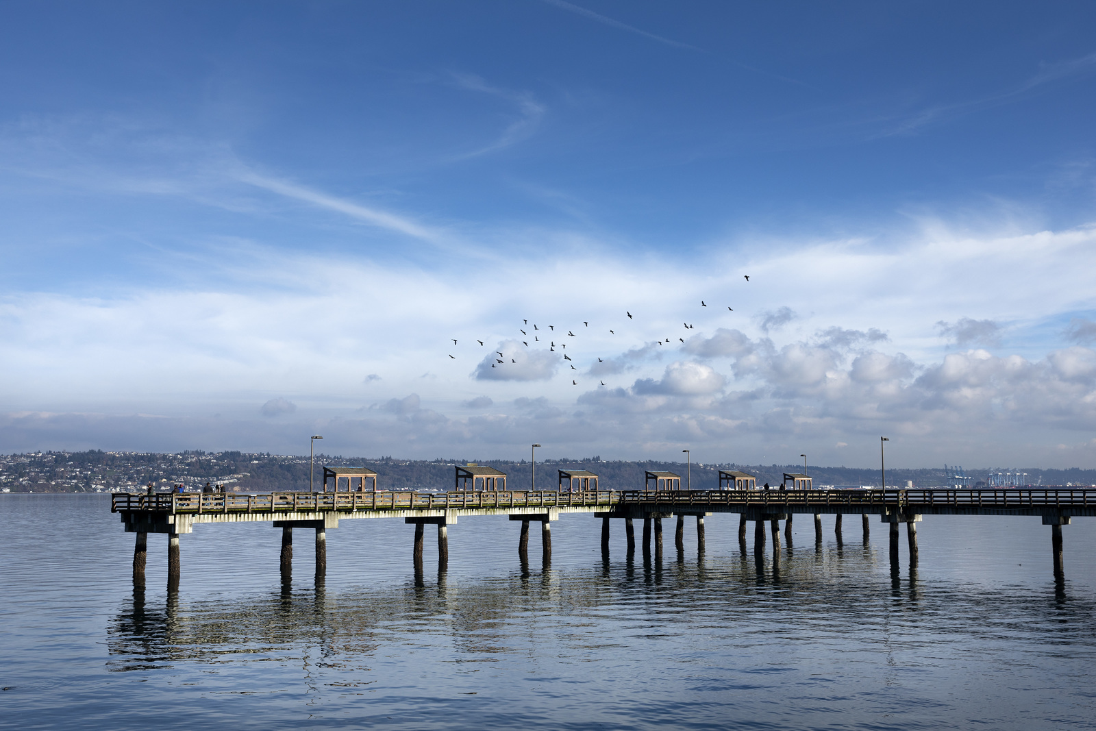 Commencement Bay Dock