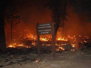 A wildfire raging across a research station