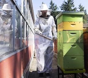 Beekeeper beside a tower of bee hives