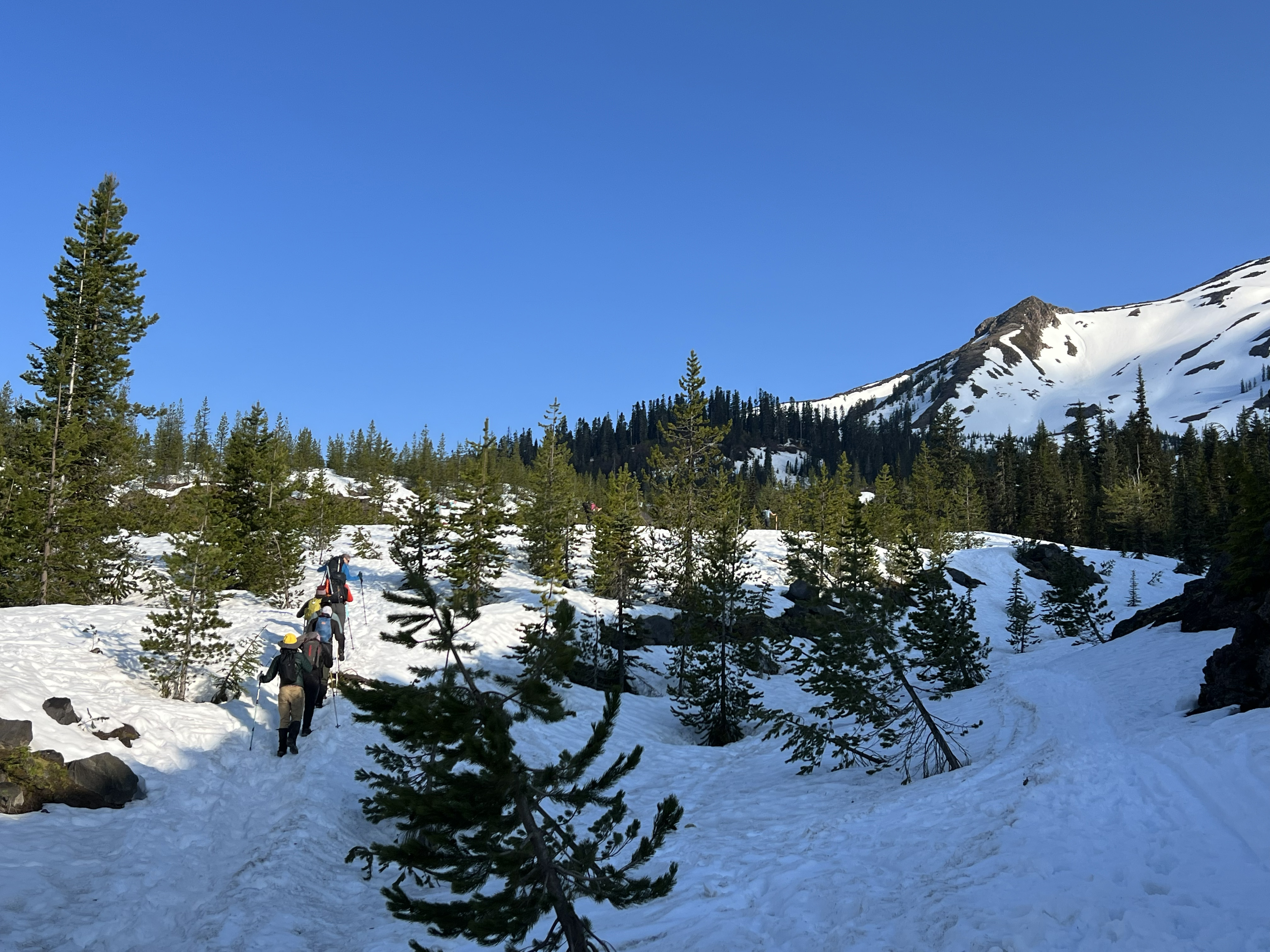 PacTrail students climb a snowy mountainside.