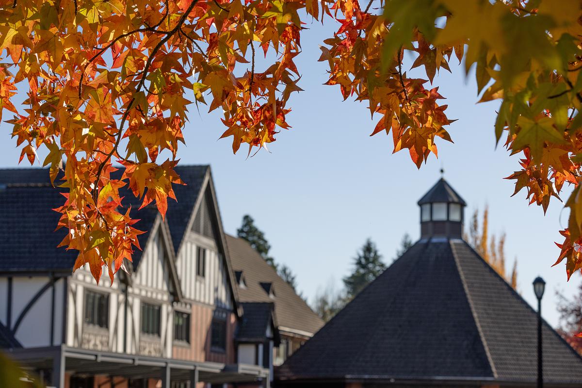 Fall leaves hang in the foreground of campus buildings. 