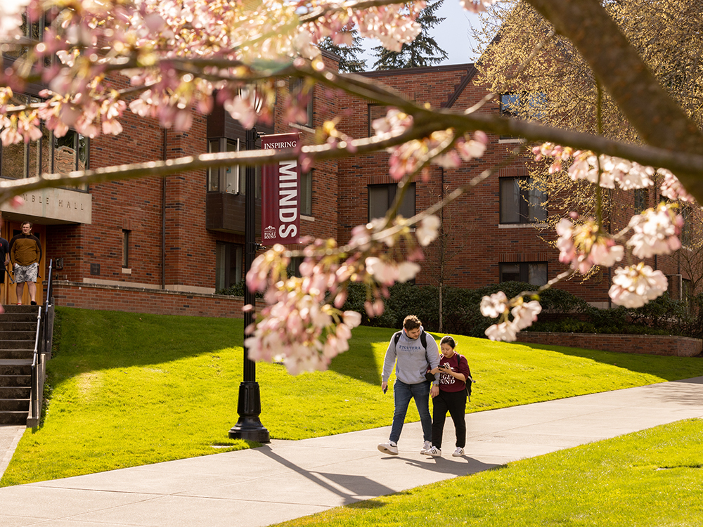 Campus Cherry Blossoms, 2023 