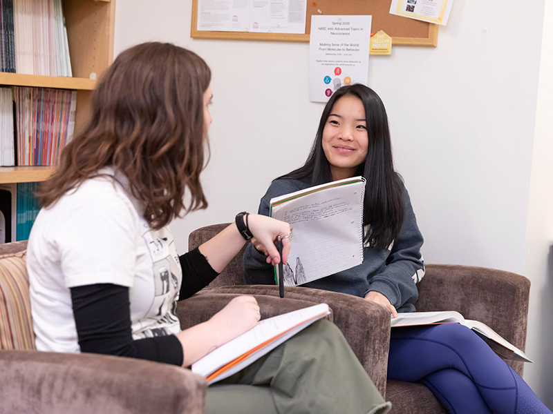 Students work in the Psychology Library in Weyerhaeuser Hall