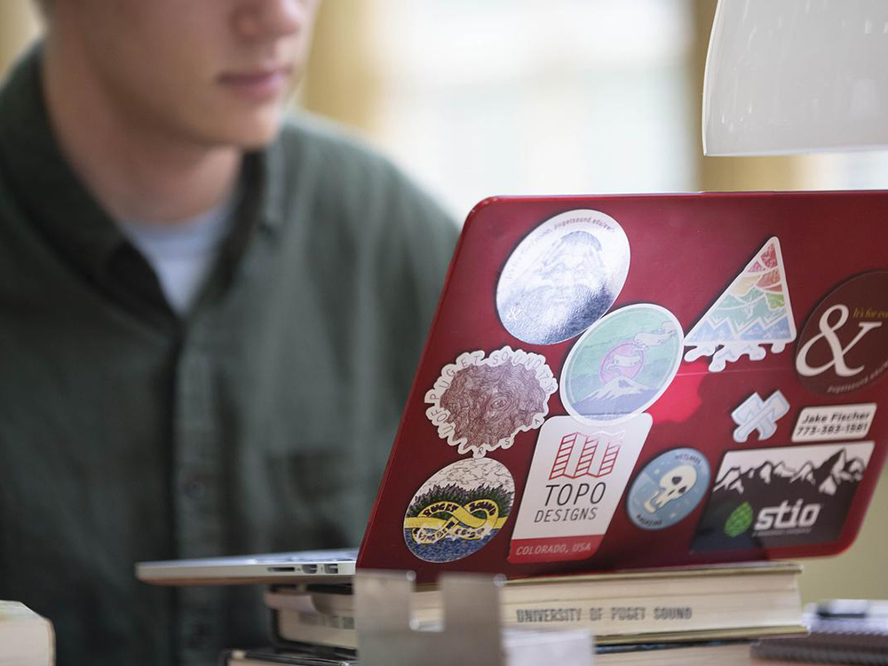 Student studying at laptop