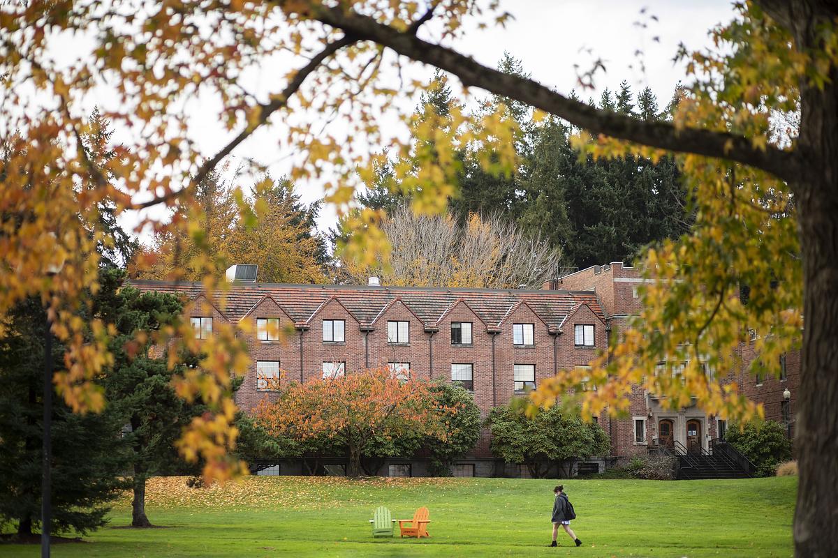 Yellow leaves hang off a branch with a red brick building in the background.