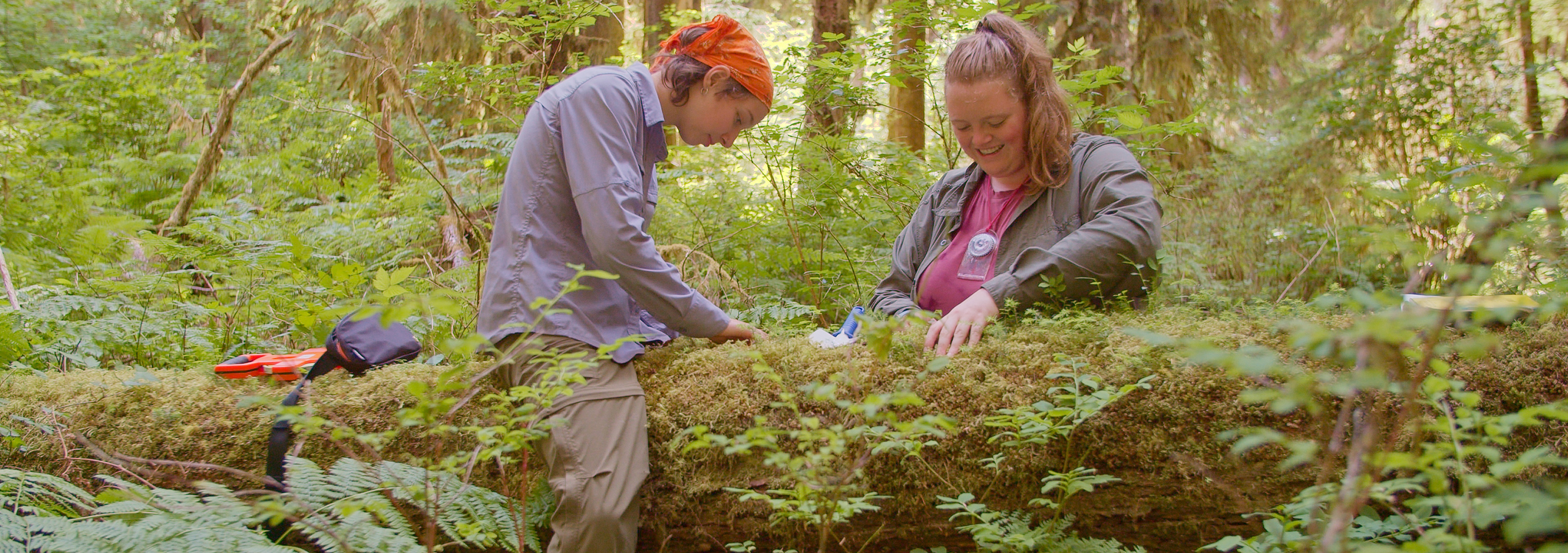 Students working outdoors in a forest