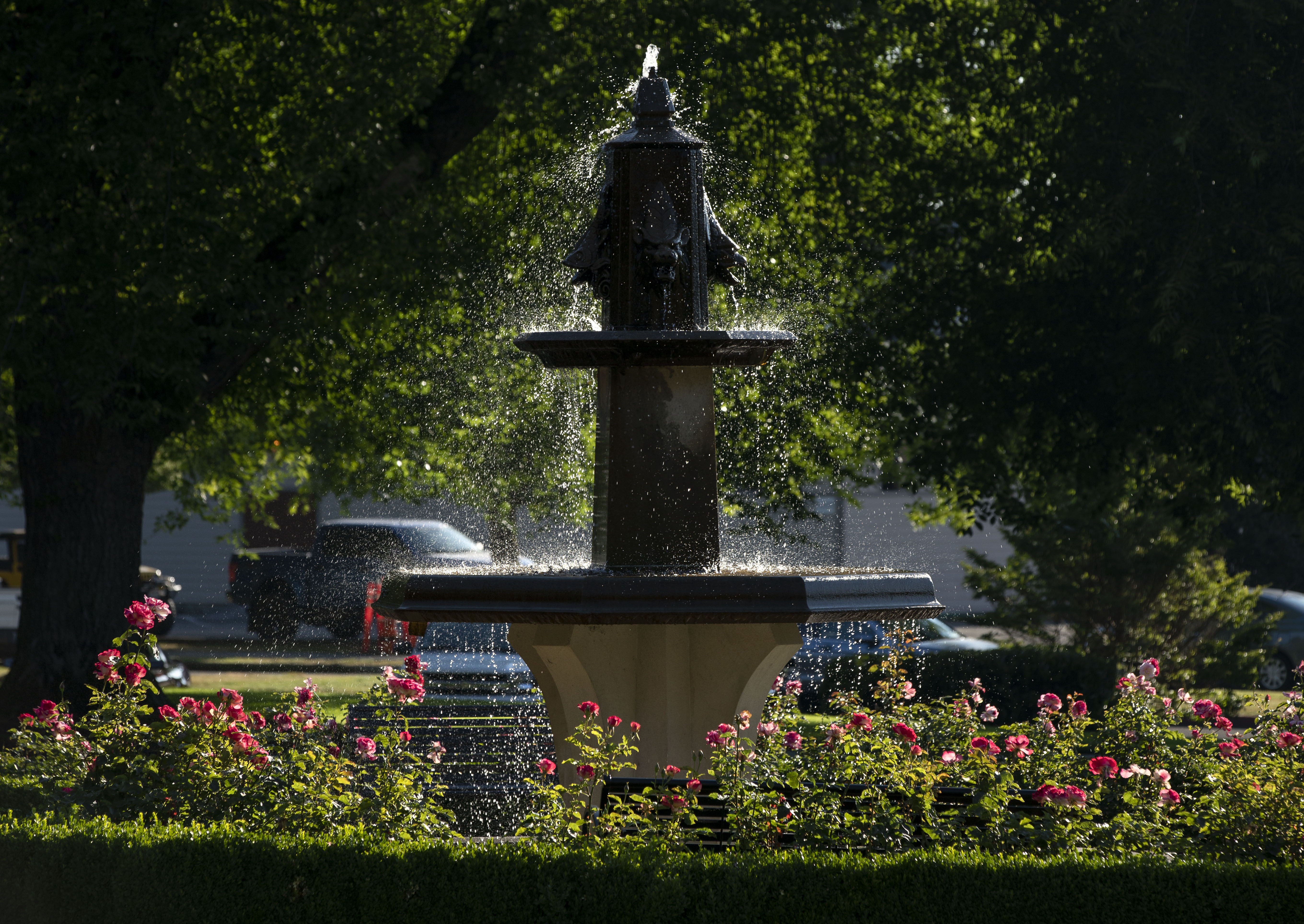 Fountain in Jones Circle