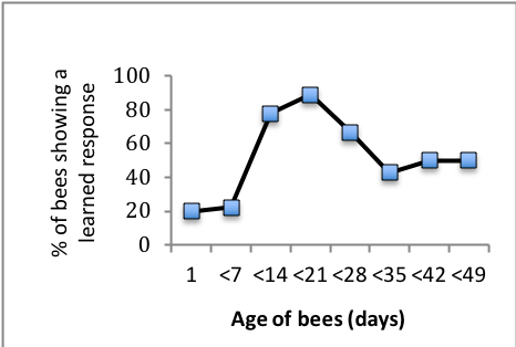 Bumblebee workers show changes in learning performance with 