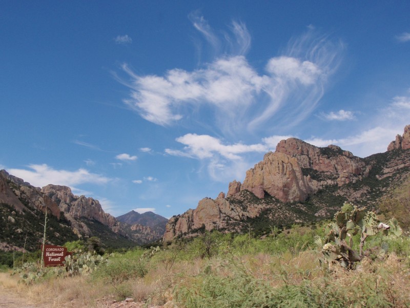 View into Cave Creek Canyon, Cochise County, AZ