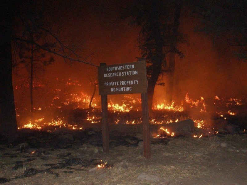 The Horseshoe 2 Fire burned about 350 square miles of the Ch