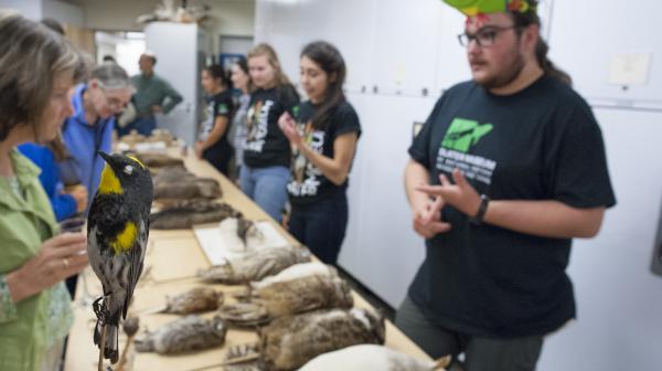 Students working as docents for Slater Museum