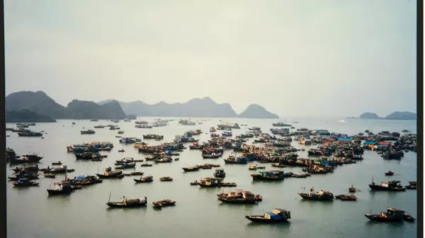 boats in water