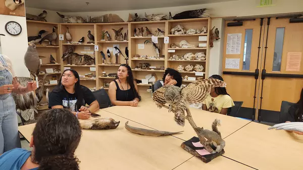 Students visiting the Museum of Natural History