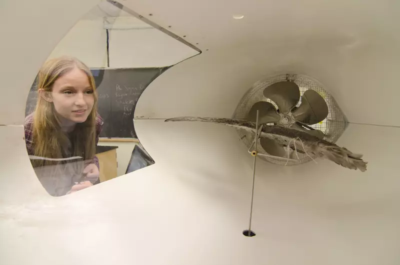 Physics student studying a wind tunnel