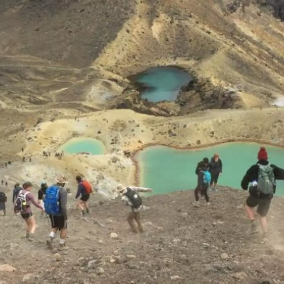 Students on a study trip to New Zealand