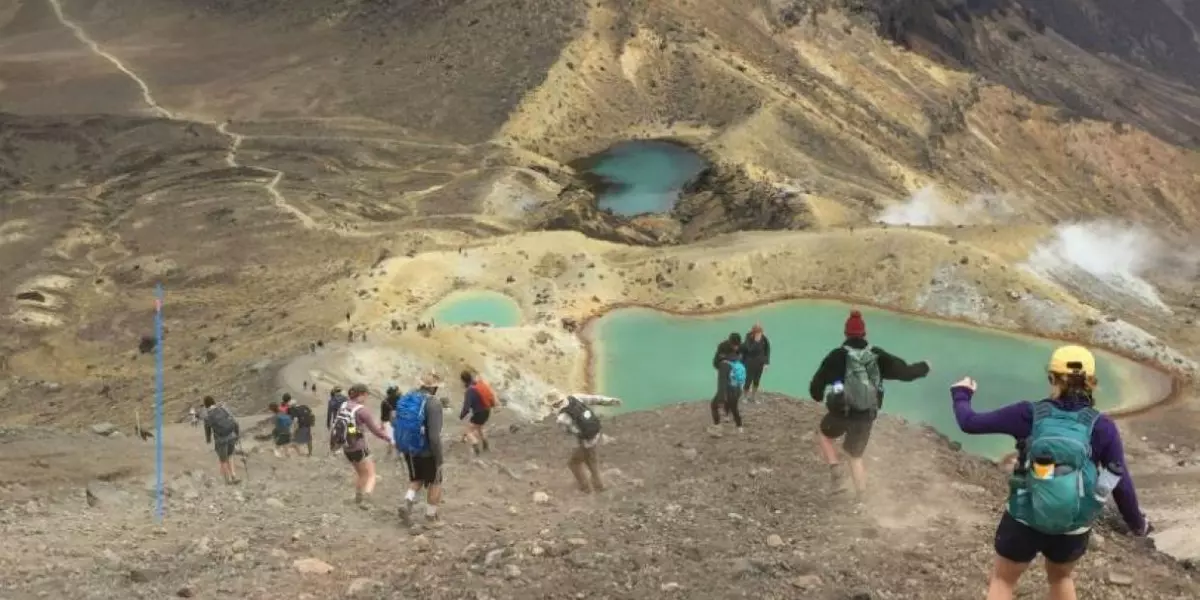 Students on a study trip to New Zealand