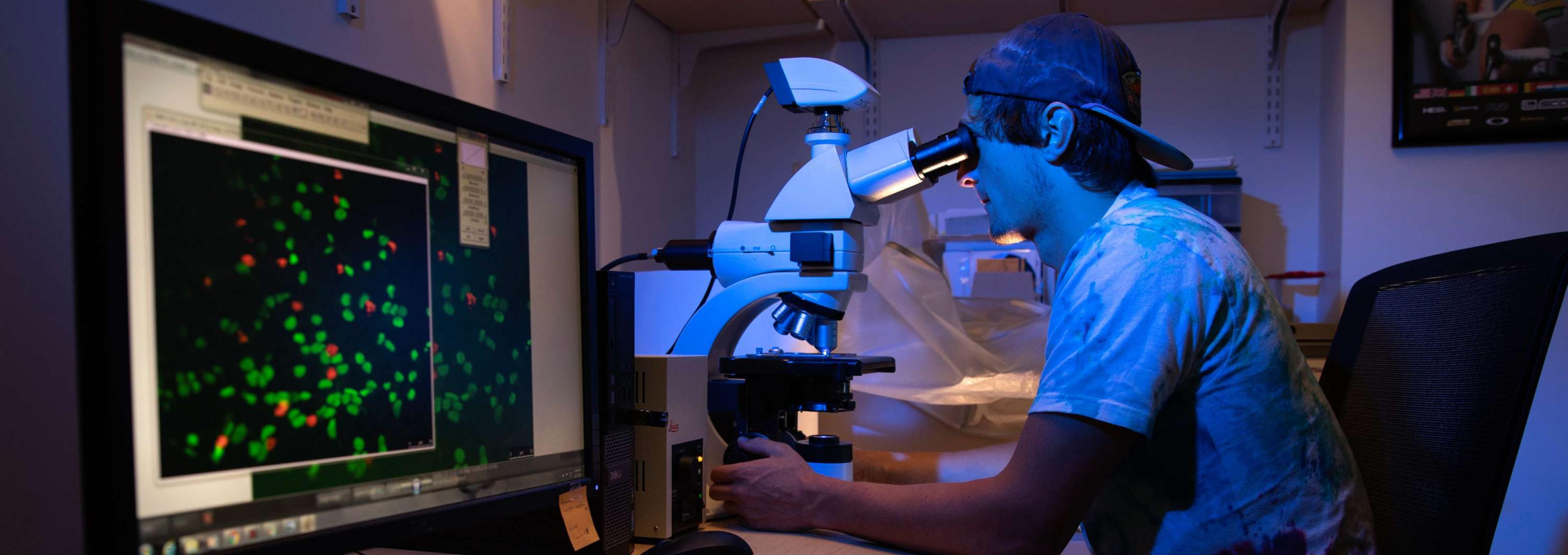 A student does summer research in the lab.