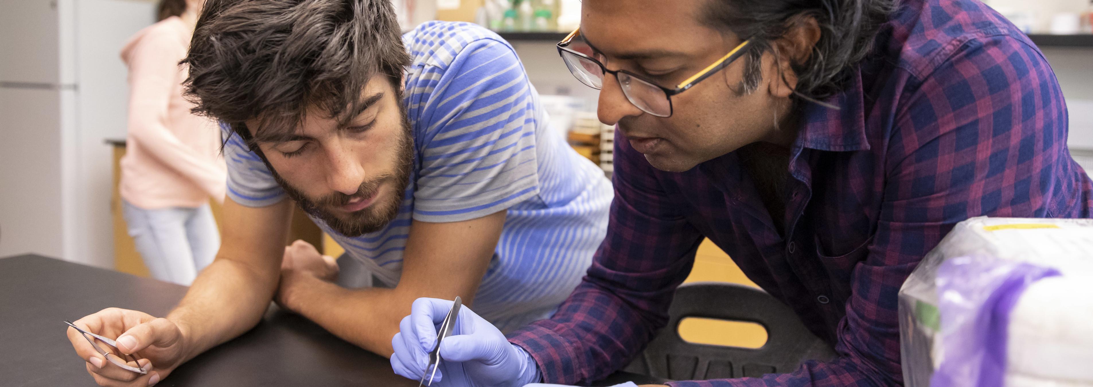 Prof. Siddharth Ramakrishnan works with a student on a project.