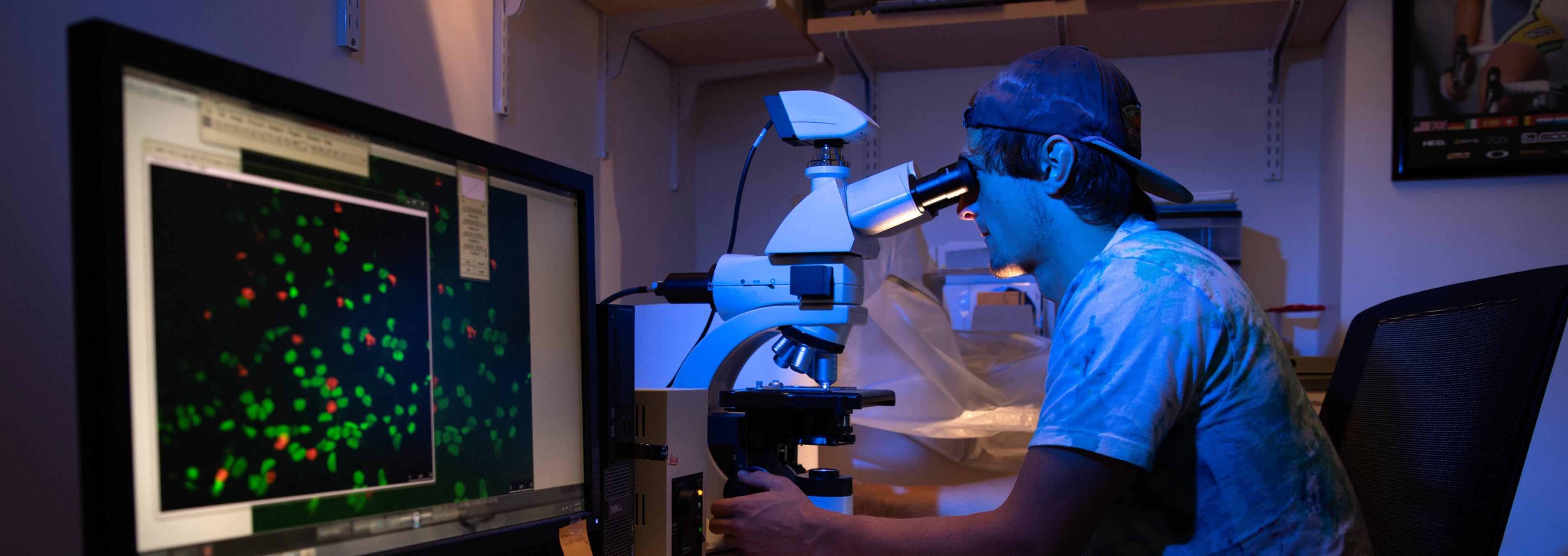 A student conducts summer science research