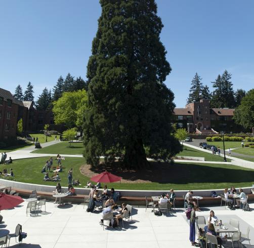 Wheelock Plaza and the sequoia