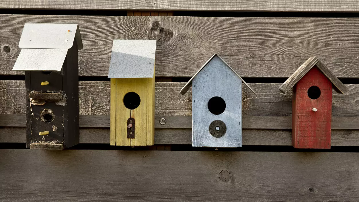 Row of wooden birdhouses