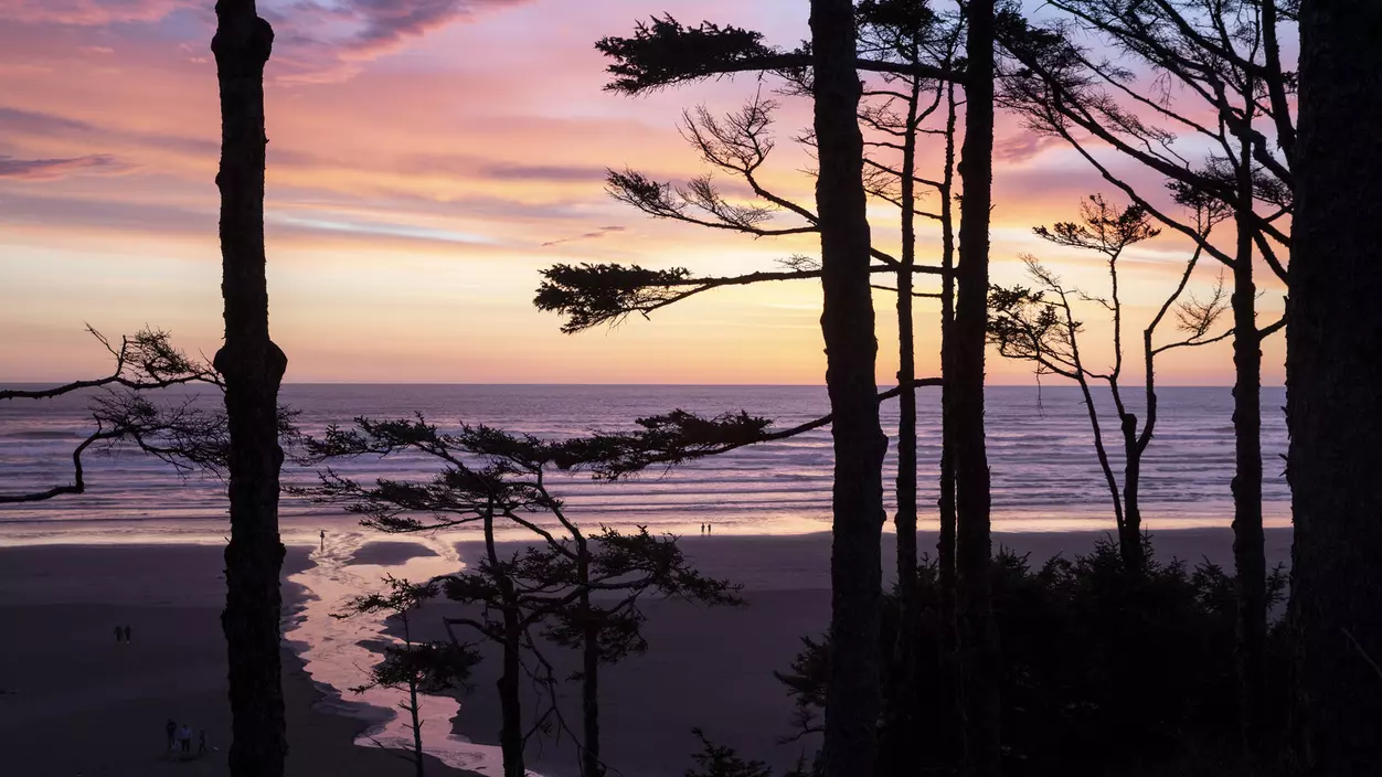 View of the beach in a pink and purple sunset