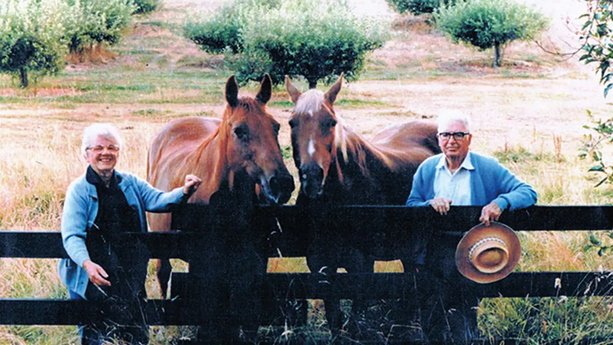 Two people and two horses standing in an orchard