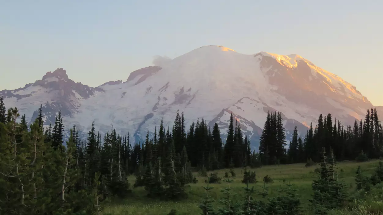 Mount Rainier in the distance, with tall evergreens in the foreground.