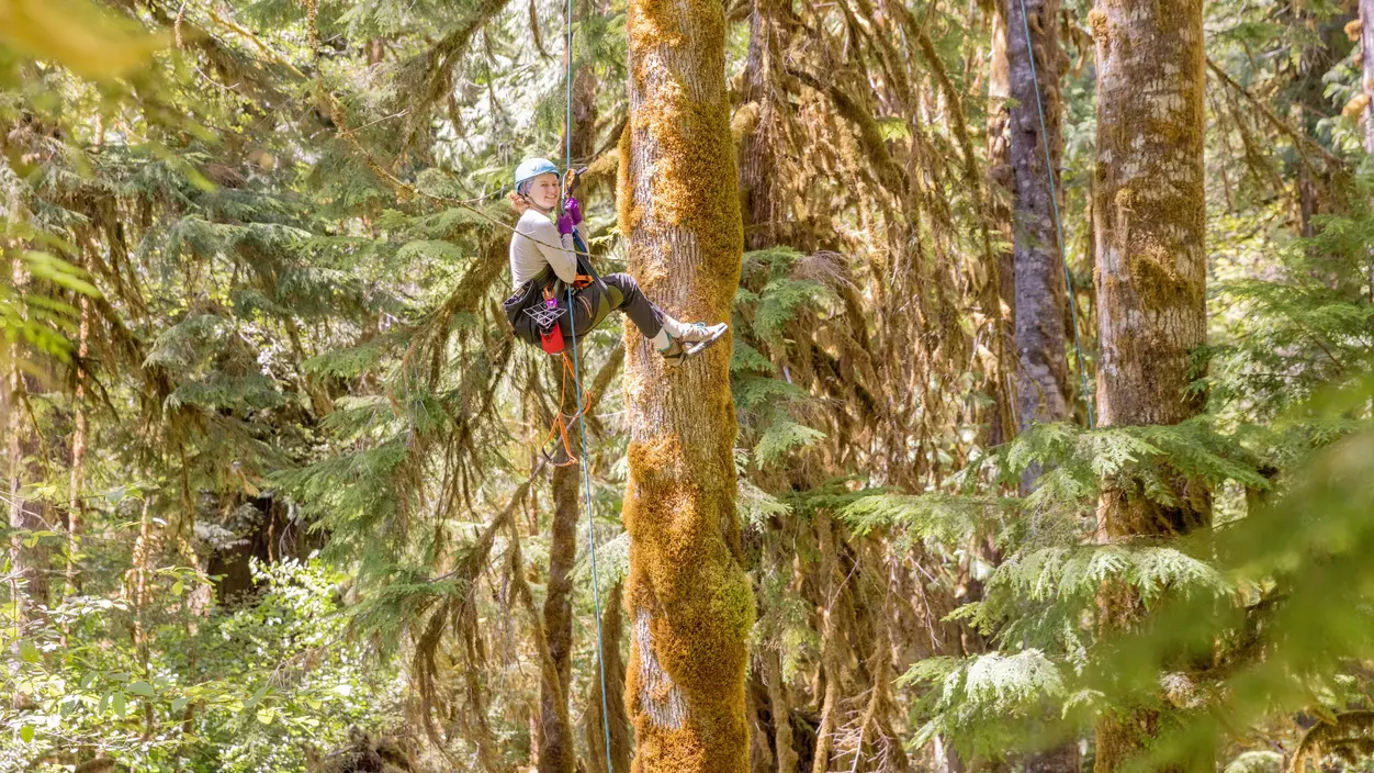 A student in the field, climbing and rappeling in the treetops to complete field research.