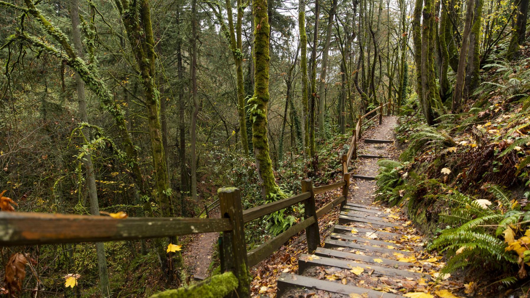 One of Tacoma's many hiking spots