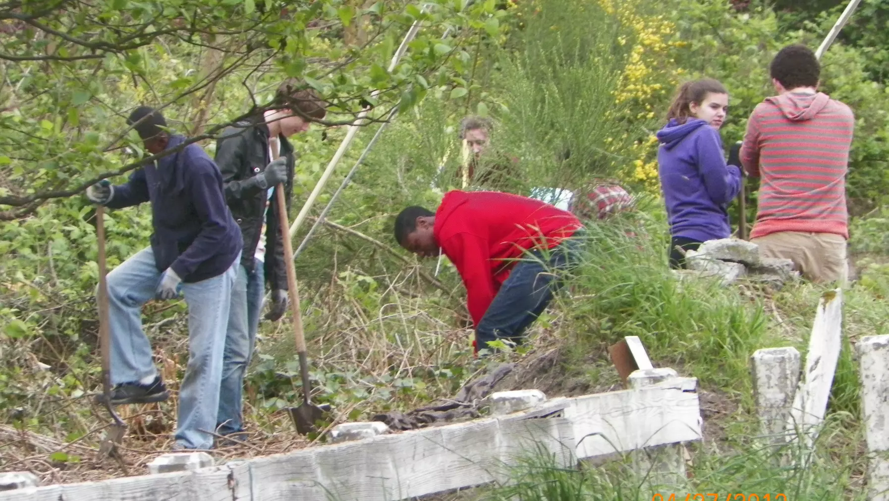 People digging in the ground with spades