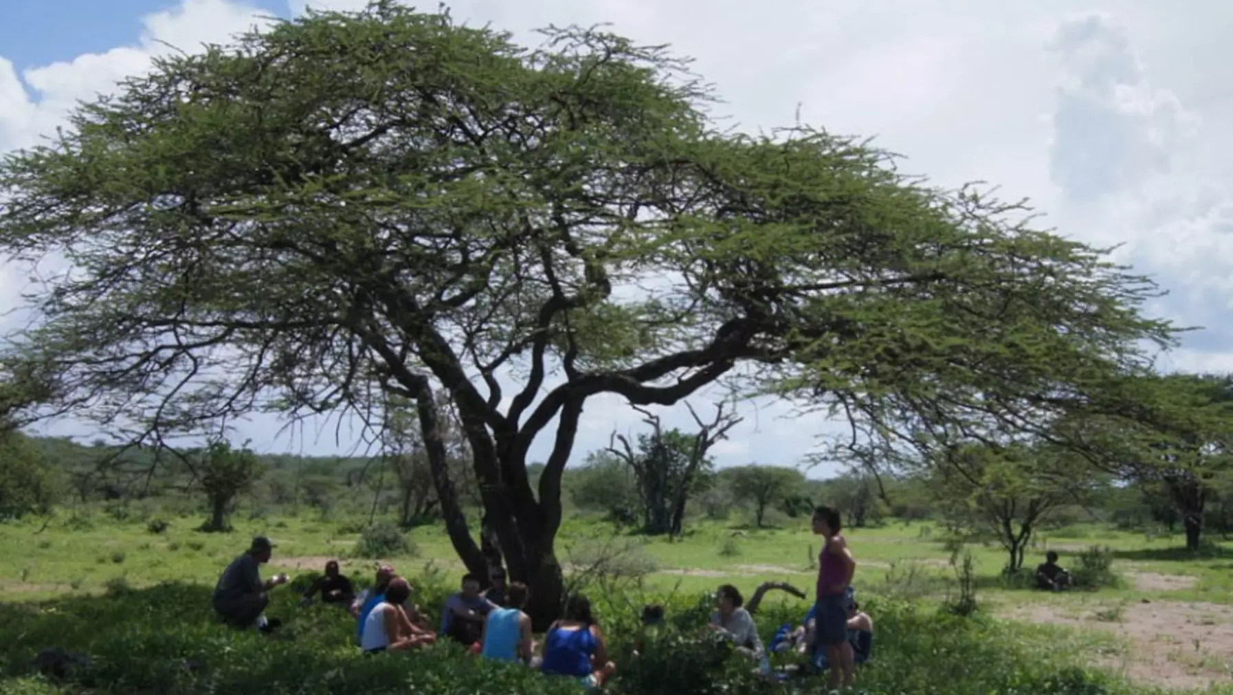 group resting under tree