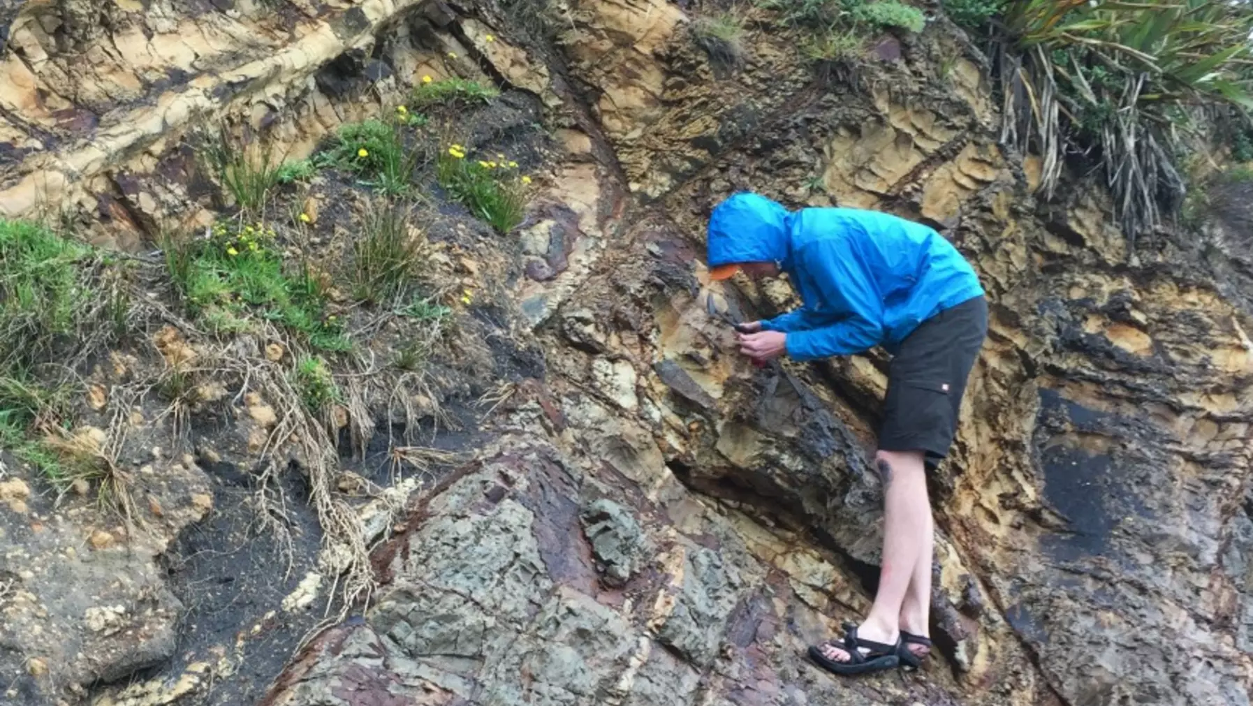 An outcrop at the Marakopa River 2