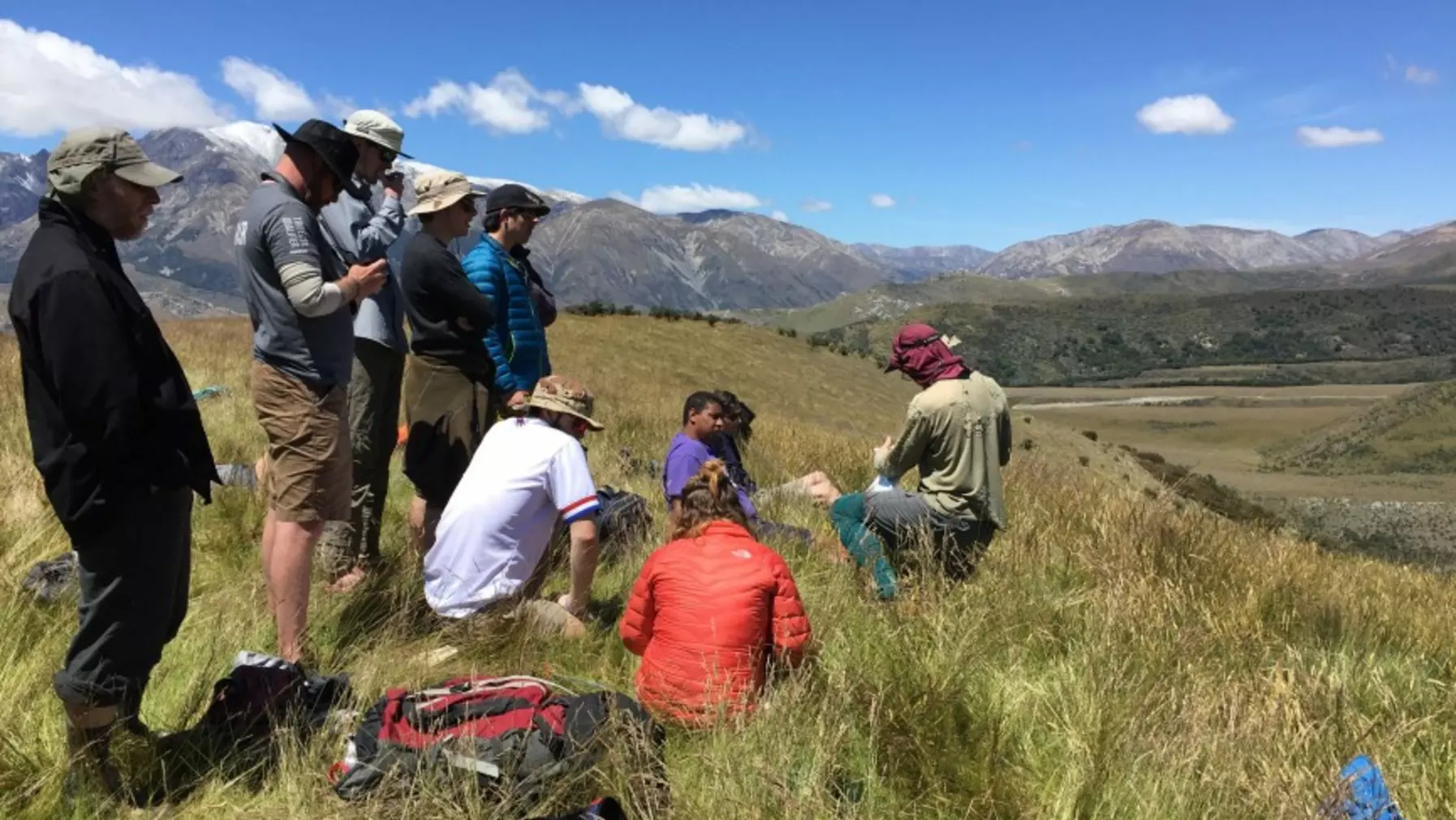 Making field observations