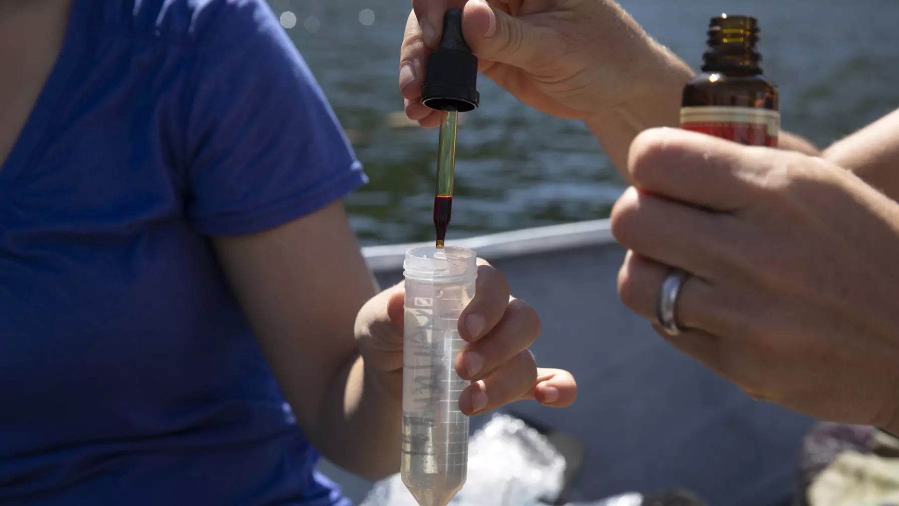 Sample collecting on Spirit Lake