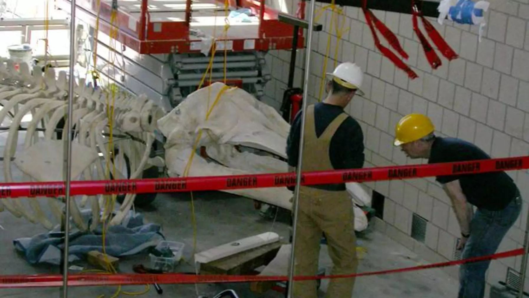 Albert and Gary check alignment and skull cabling.