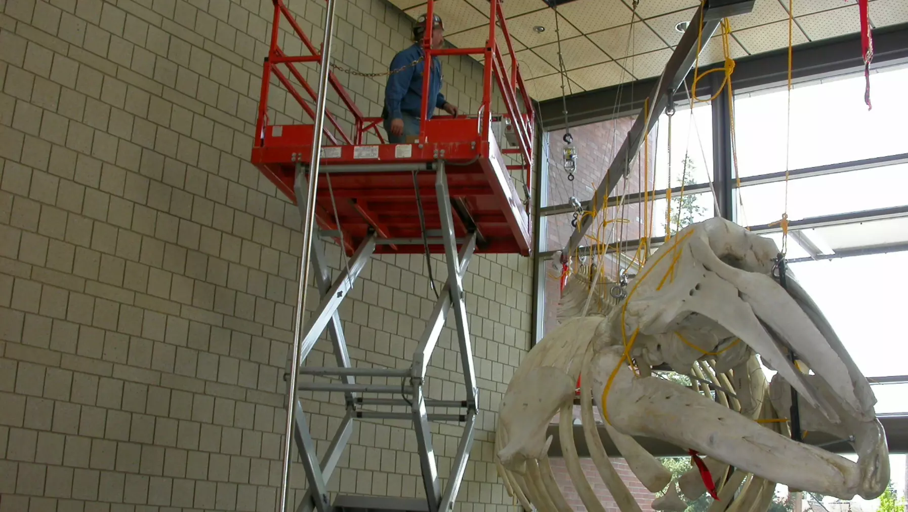 Peter and Albert on the first landing and Isaac on the lift discussing placement.