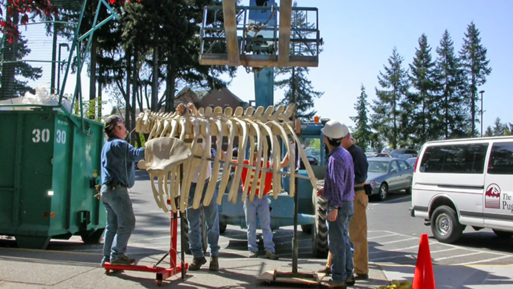 The team hooking to the lift to move the ribs to Harned Hall on May 3, 2006.