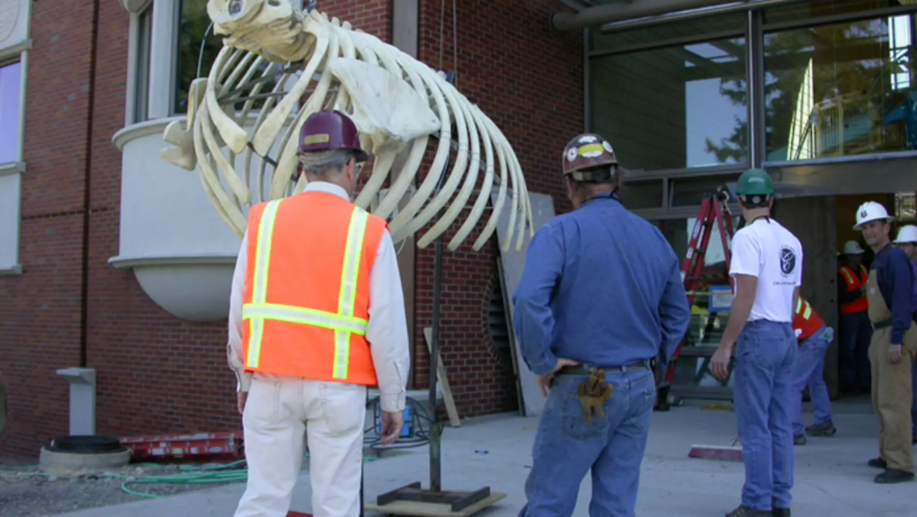 Unhooking and getting ready to move into atrium of Harned Hall