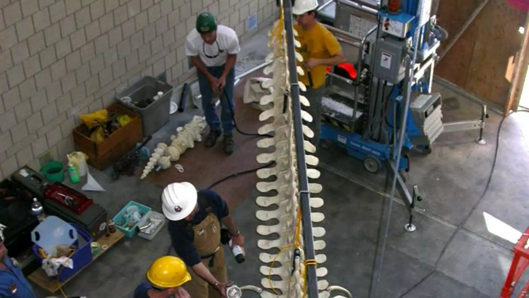 Otto and Isaac finish the tail vertebrae and Gary and Albert discuss finishing details.