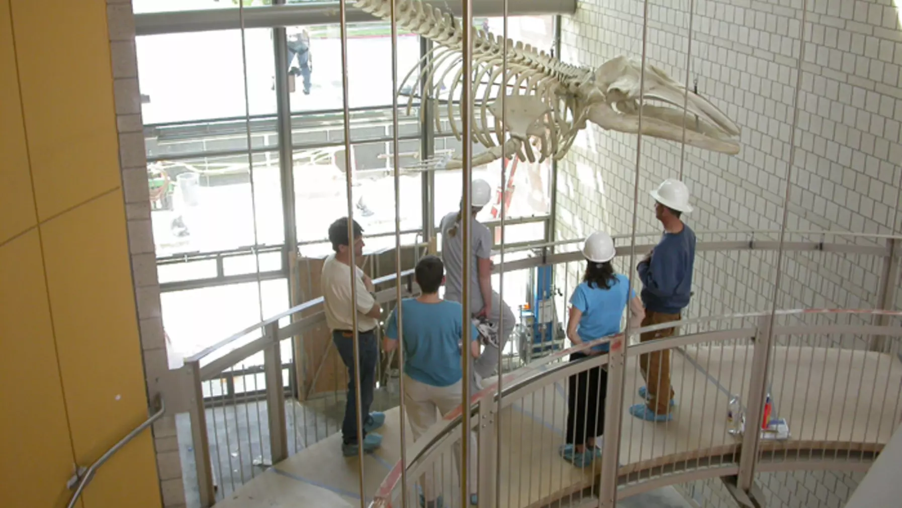 Peter, Alyce DeMarais, Michal Morrison, Susan Bennett, and Albert discuss the installation and plans for the future.