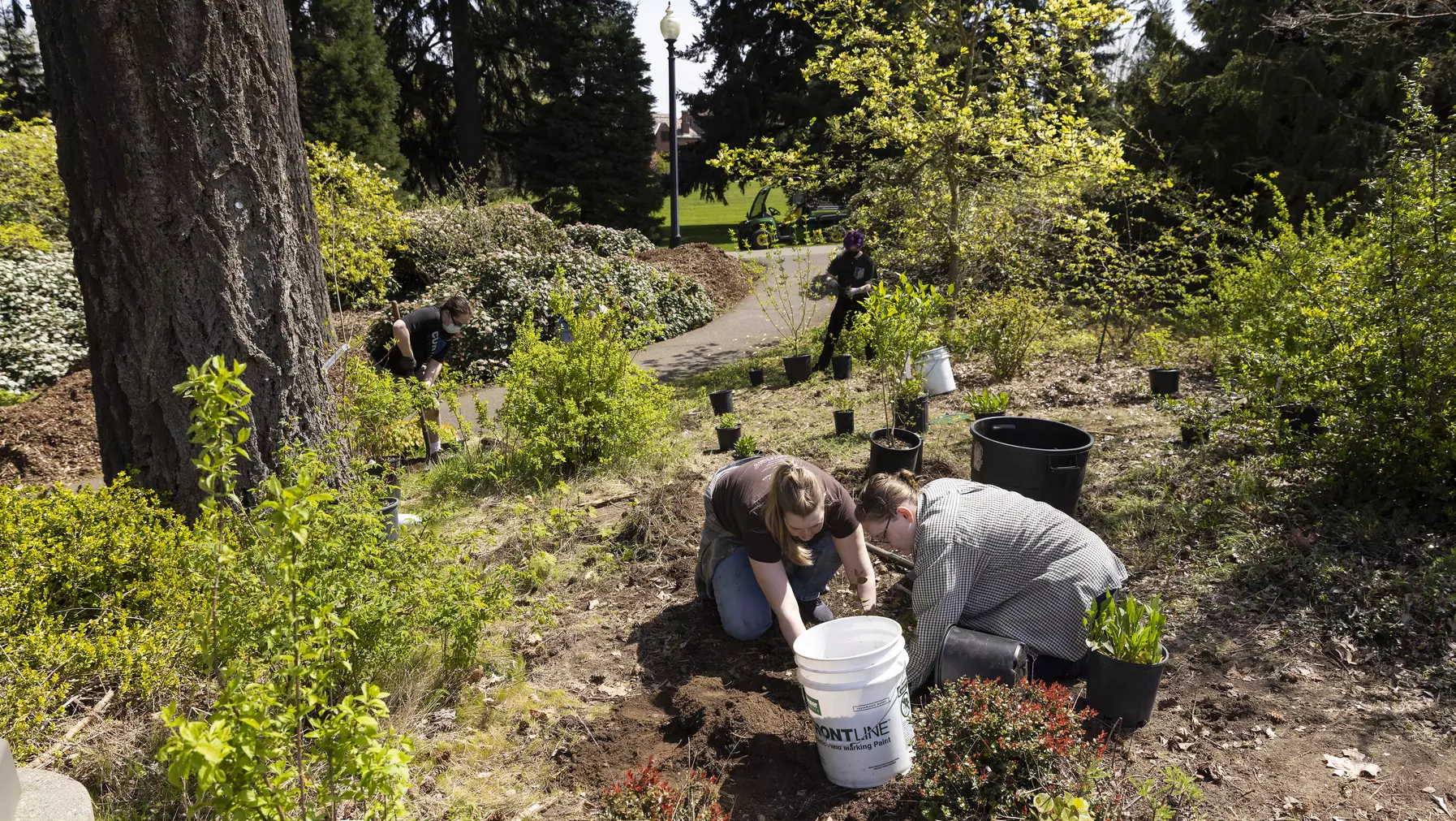 Earth Day volunteers weed out invasive plants outside Thompson Hall.