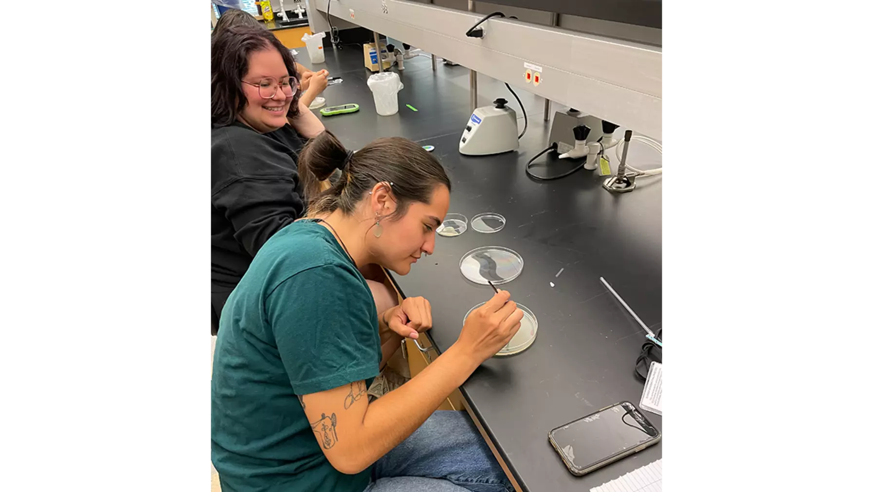 Students working in a laboratory 