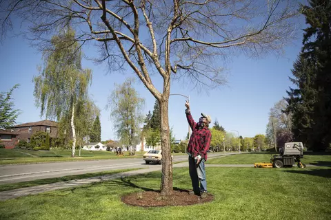 Andy Lambert pointing at a tree specimen